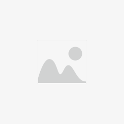 https://wms-api-demo.2020i.com/files/image/8311/image-not-found - Copy.png